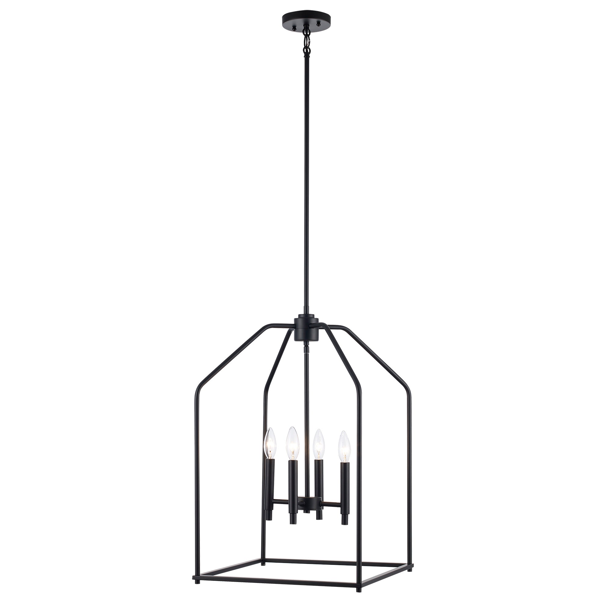 Trans Globe Lighting 11834-16 BK LED Pendant Ceiling Light | BuyRight ...
