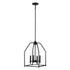 Trans Globe Lighting 11834 BK Birdy 4 light black pendant ceiling light
