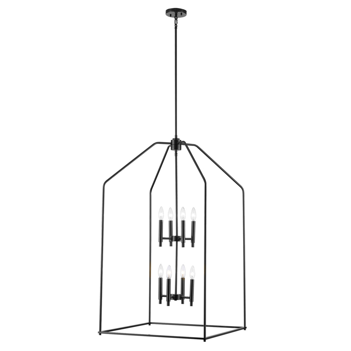 Trans Globe Lighting 11838-24 BK Birdy 8 Light 24 inch Black Pendant Ceiling Light