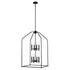 Trans Globe Lighting Birdy 8 light black pendant ceiling light