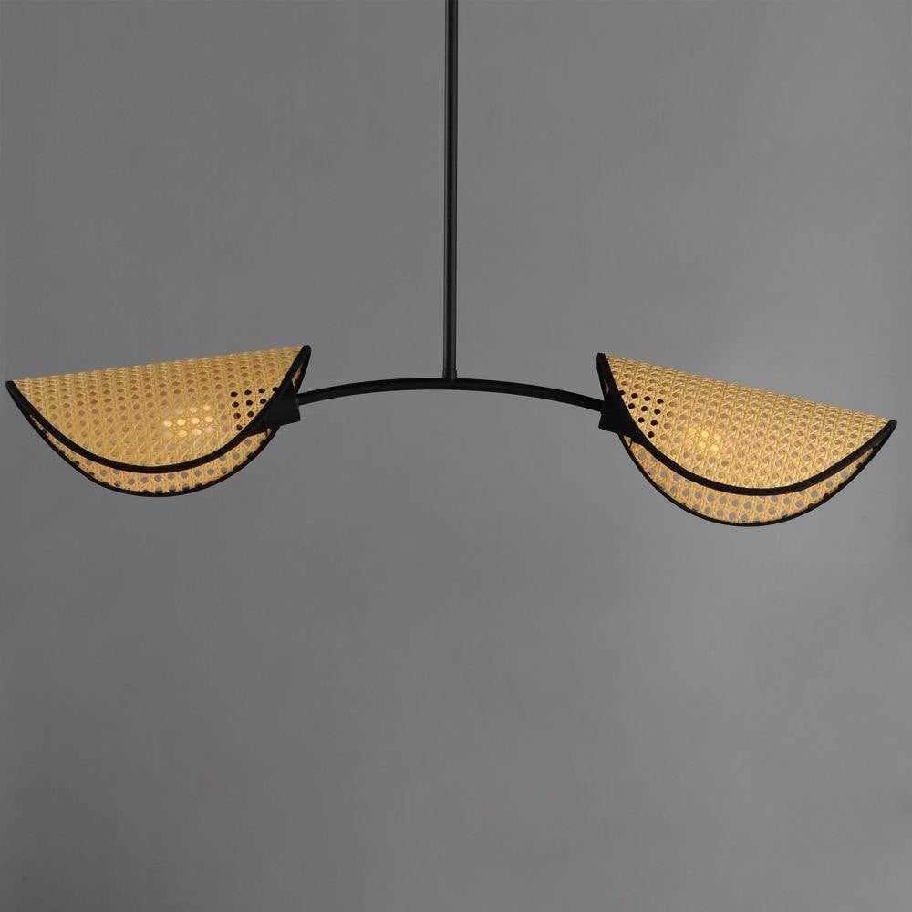 Maxim Lighting 12632NABK Bonnet 2 Light Black Linear Pendant - Lit Front View