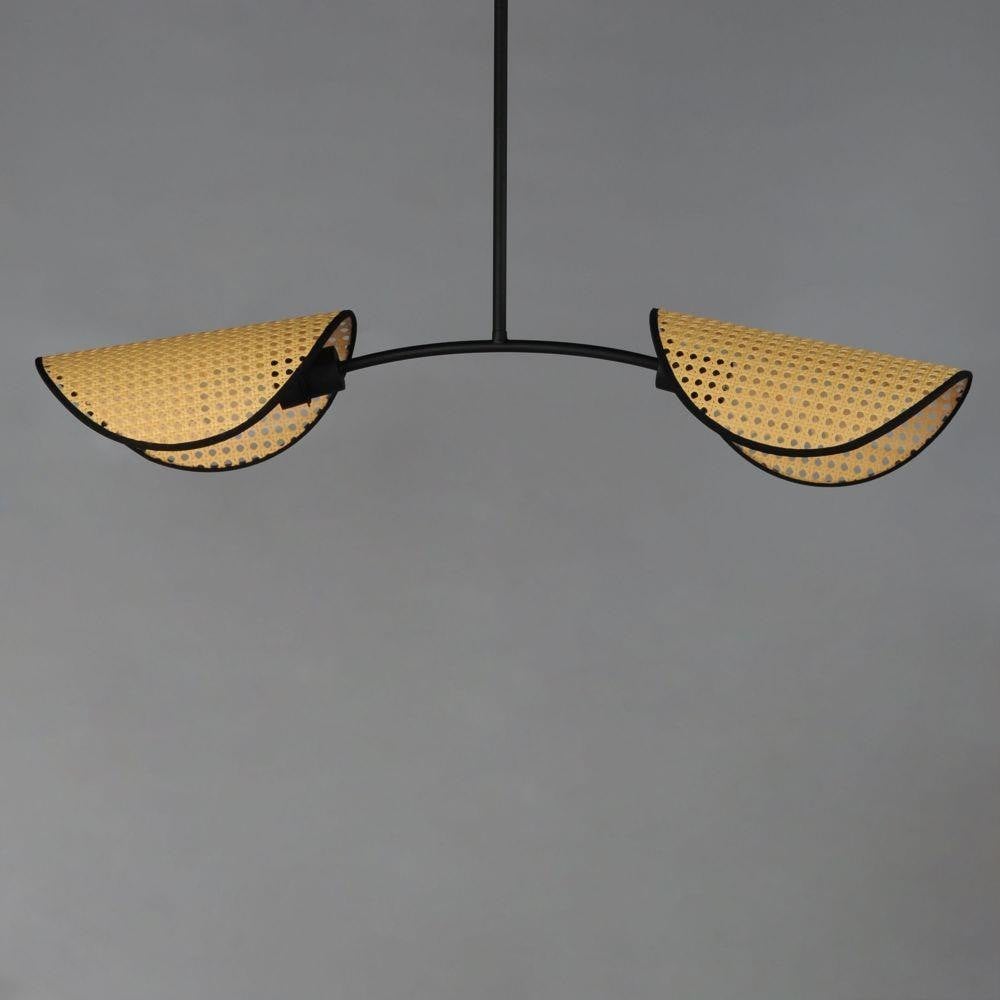 Maxim Lighting 12632NABK Bonnet 2 Light Black Linear Pendant - Lit Angle View