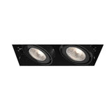 Eurofase Lighting TE212GU10-01 LED Recessed Light without Trim, Linear, 2-Light, GU10, Wattage 100W, Voltage 120V, Black