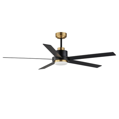 Maxim Lighting 88826BKGLD Daisy 5 Blade 60 Inch Black/Gold Ceiling Fan with Light Kit - Full View