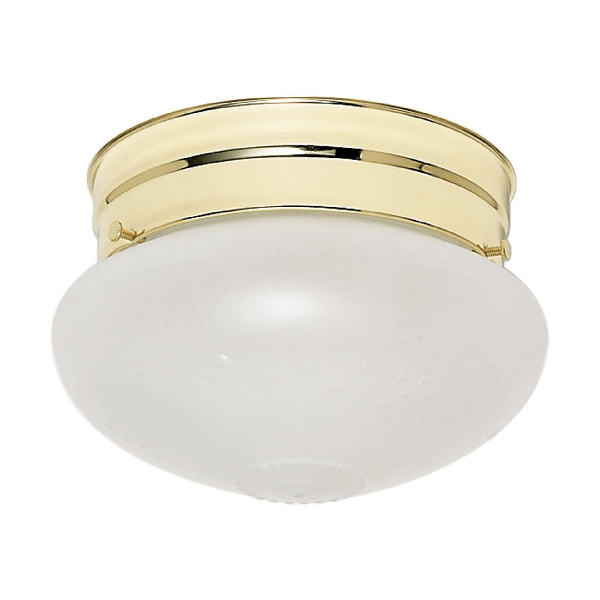 Nuvo SF77-123 1 Light 6" Flush Mount Fixture, Frosted Grape Glass, Polished Brass Finish