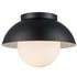 Trans Globe Lighting 16220 BK Maureen black flush mount ceiling light