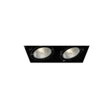 Eurofase Lighting TE222-01 LED Recessed Light without Trim, 2-Light, PAR30, Wattage 150W, Voltage 120V, Black