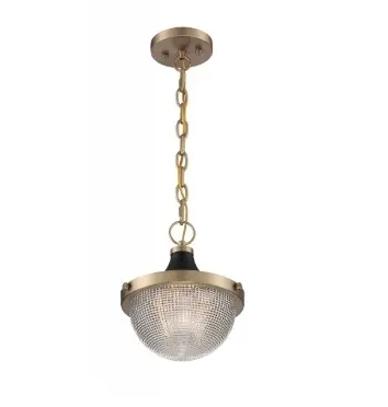 Nuvo 60-7059 Faro Series Small Pendant Light w/ Prismatic Glass, Wattage 60W, Burnished Brass & Black