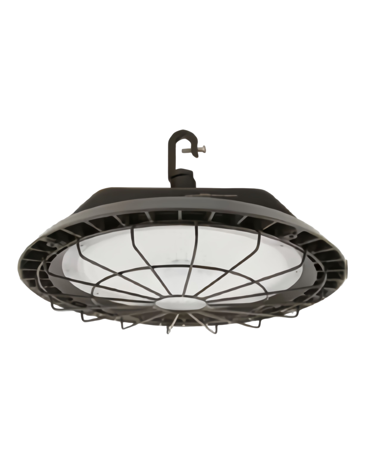 ESL Vision ESL-RHB1-WG-BKBZ Wire Guard Cover for Roswell Series. Black finish. Field Installed.