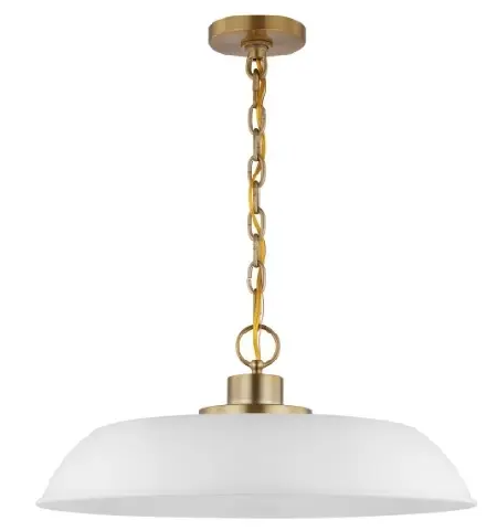 Nuvo 60-7483 Colony Pendant, 1 Light, Wattage 100W, Voltage 120V, White/Burnished Brass, Medium