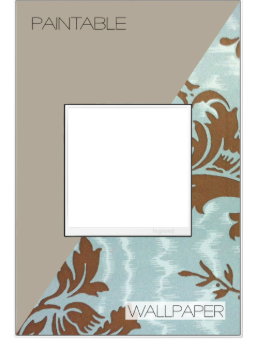 Legrand AWM1G2W4 Adorne Custom 1-Gang Screwless Wall Plate, White Trim