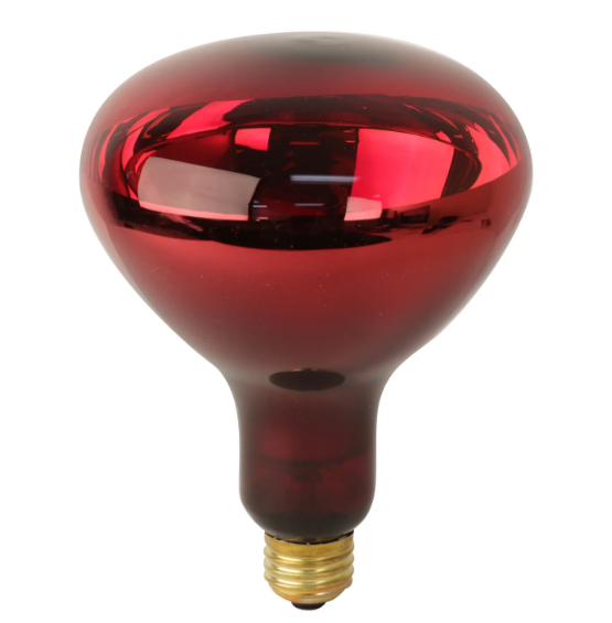 Feit Electric 250R40/10 BR40 Dimmable Incandescent Heat Lamp Reflector Blub, Wattage 250W, Voltage 120V, Red Finish