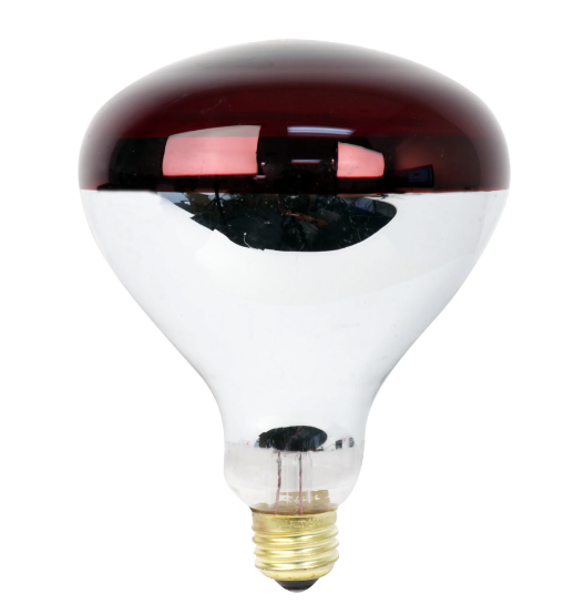 Feit Electric 250R40/R Dimmable Incandescent Heat Lamp Reflector Blub, Color Temperature 1000K, Wattage 250W, Voltage 120V, Red Finish