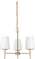 Generation Lighting Driscoll 3 light satin brass chandelier