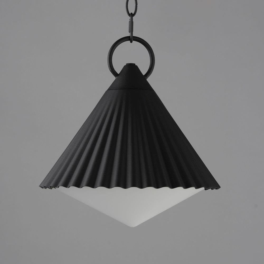 Maxim Lighting 35131WTBK Odette 1 Light 12 Inch Black Outdoor Pendant - close-up angled view