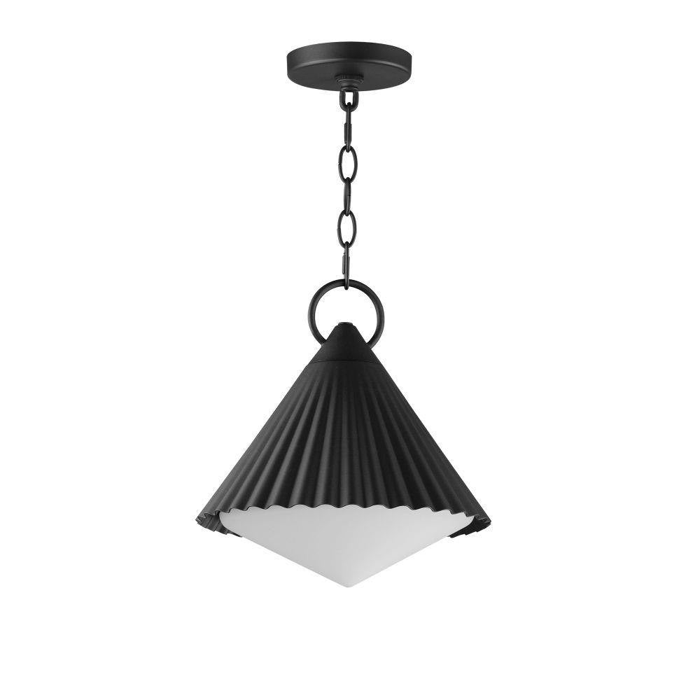 Maxim Lighting 35131WTBK Odette 1 Light 12 Inch Black Outdoor Pendant - full product view on white background