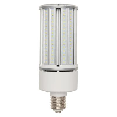 Westinghouse Lighting 3516600 T30 LED light bulb