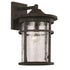 Trans Globe Lighting 40381 RT Avalon rust outdoor wall lantern with seeded glass