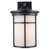 Trans Globe Lighting 40382 BK-FR Avalon black outdoor wall lantern front view