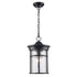 Trans Globe Lighting 40385 BK Avalon black outdoor hanging lantern full view