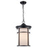 Trans Globe Lighting 40386 BK-FR Avalon outdoor hanging lantern lit view