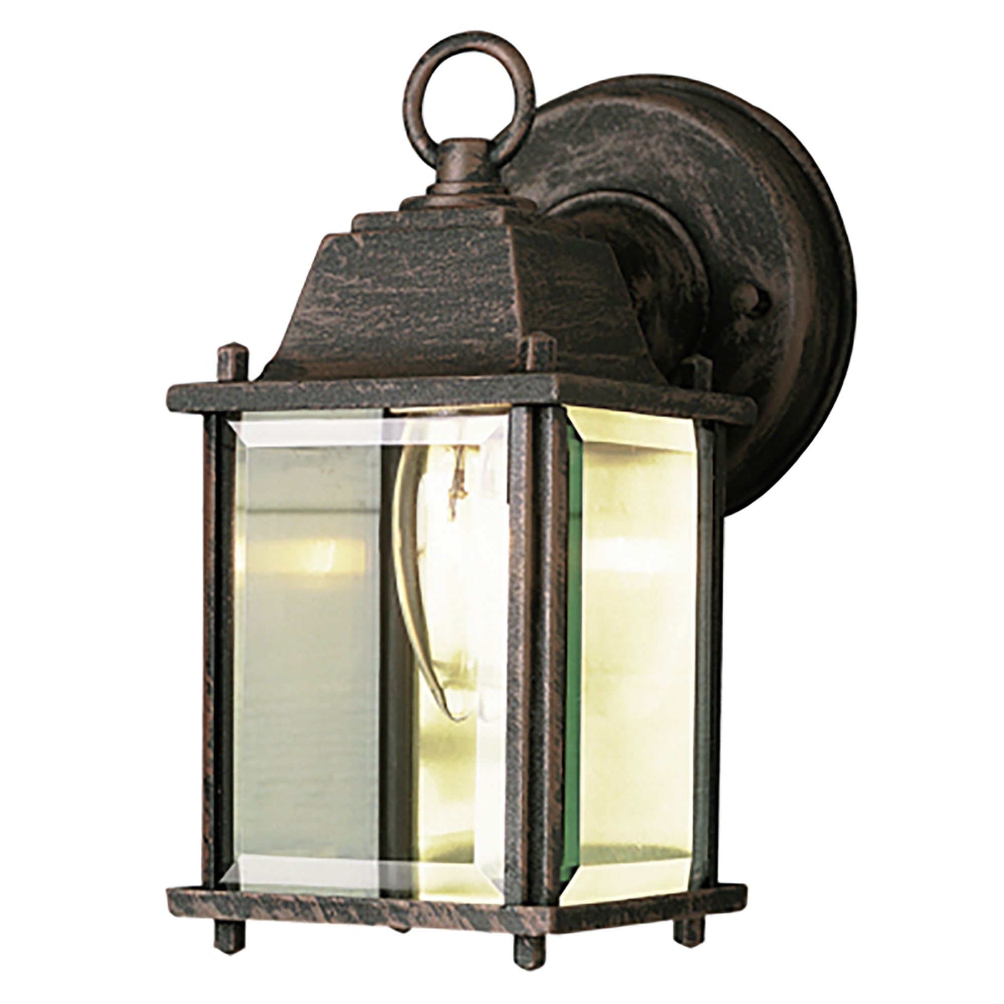 Trans Globe Lighting 40455 RT LED Wall Lantern | BuyRight Electric ...