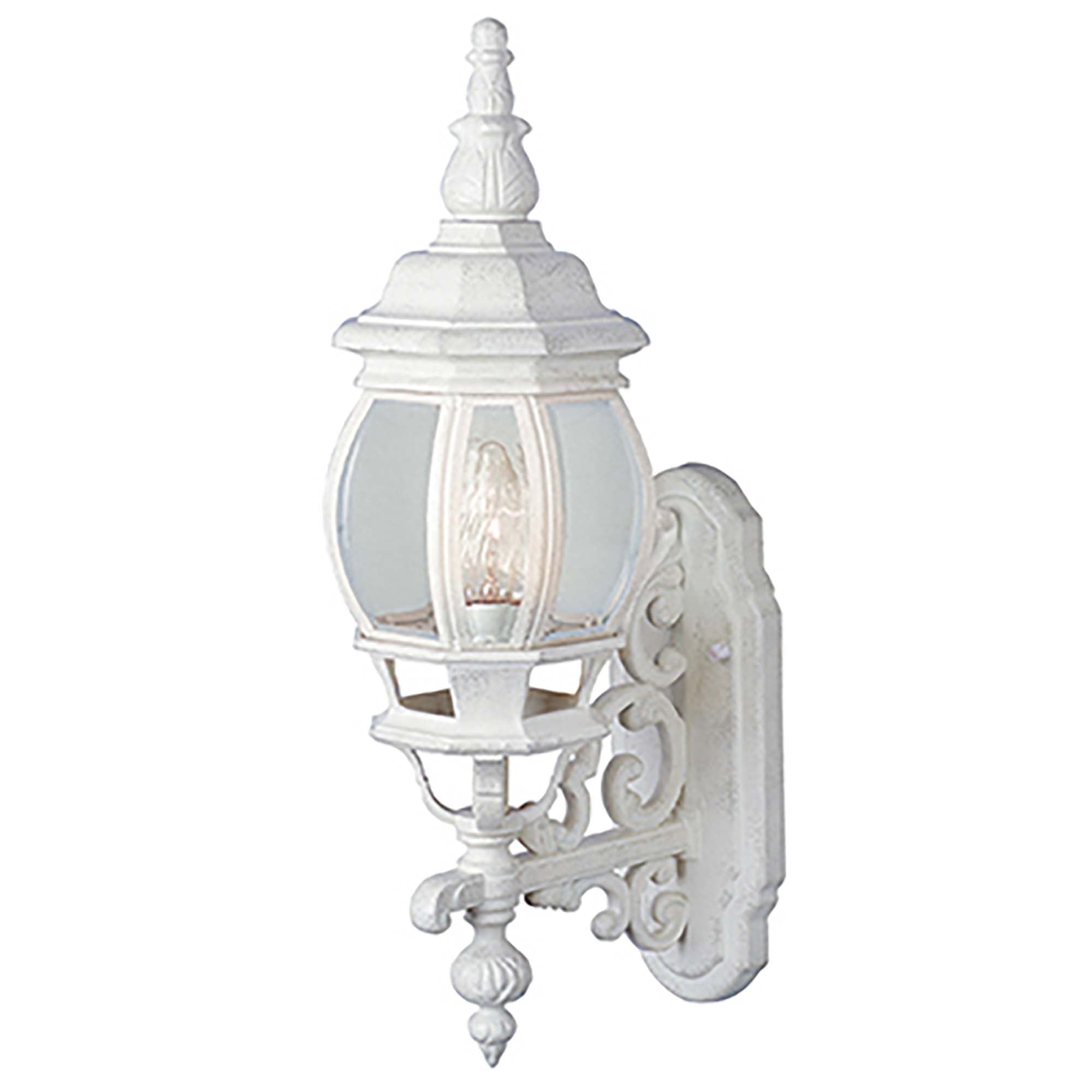 Trans Globe Lighting 4050 WH LED Outdoor Wall Lantern Wall Light ...