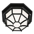 Trans Globe Lighting 40581 BK Benkert 1 Light Black Outdoor Flush Mount Ceiling Light