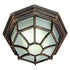 Trans Globe Lighting 40581 RT Benkert 1 Light 9 inch Rust Flush Mount Ceiling Light
