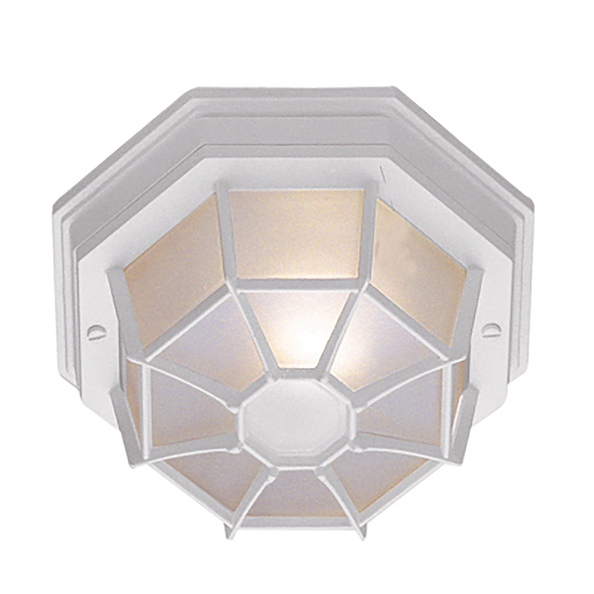 Trans Globe Lighting 40581 WH Benkert 1 Light White Outdoor Flush Mount Ceiling Light