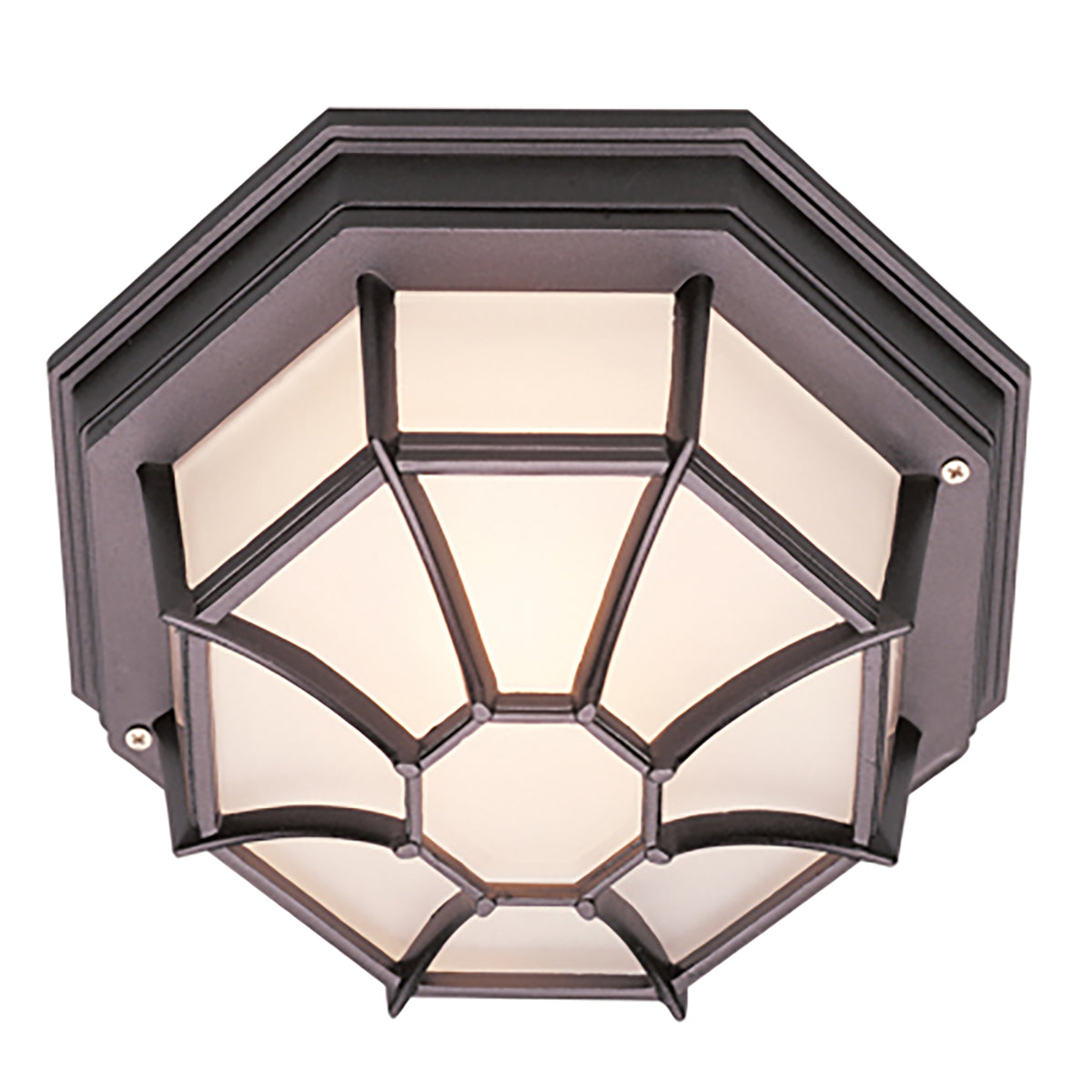 Trans Globe Lighting 40582 BK Benkert black outdoor flush mount ceiling light