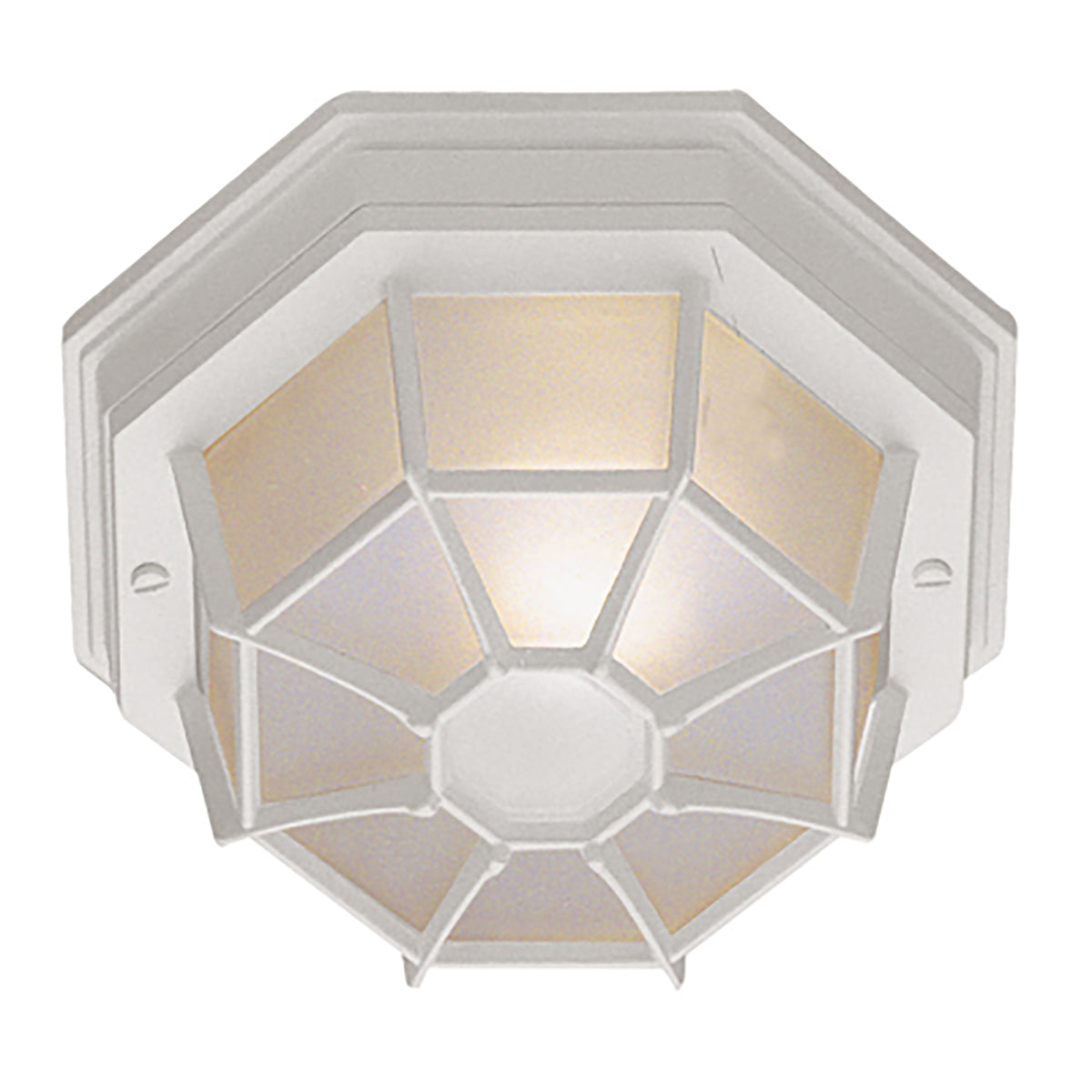 Trans Globe Lighting 40582 WH Benkert white outdoor flush mount ceiling light