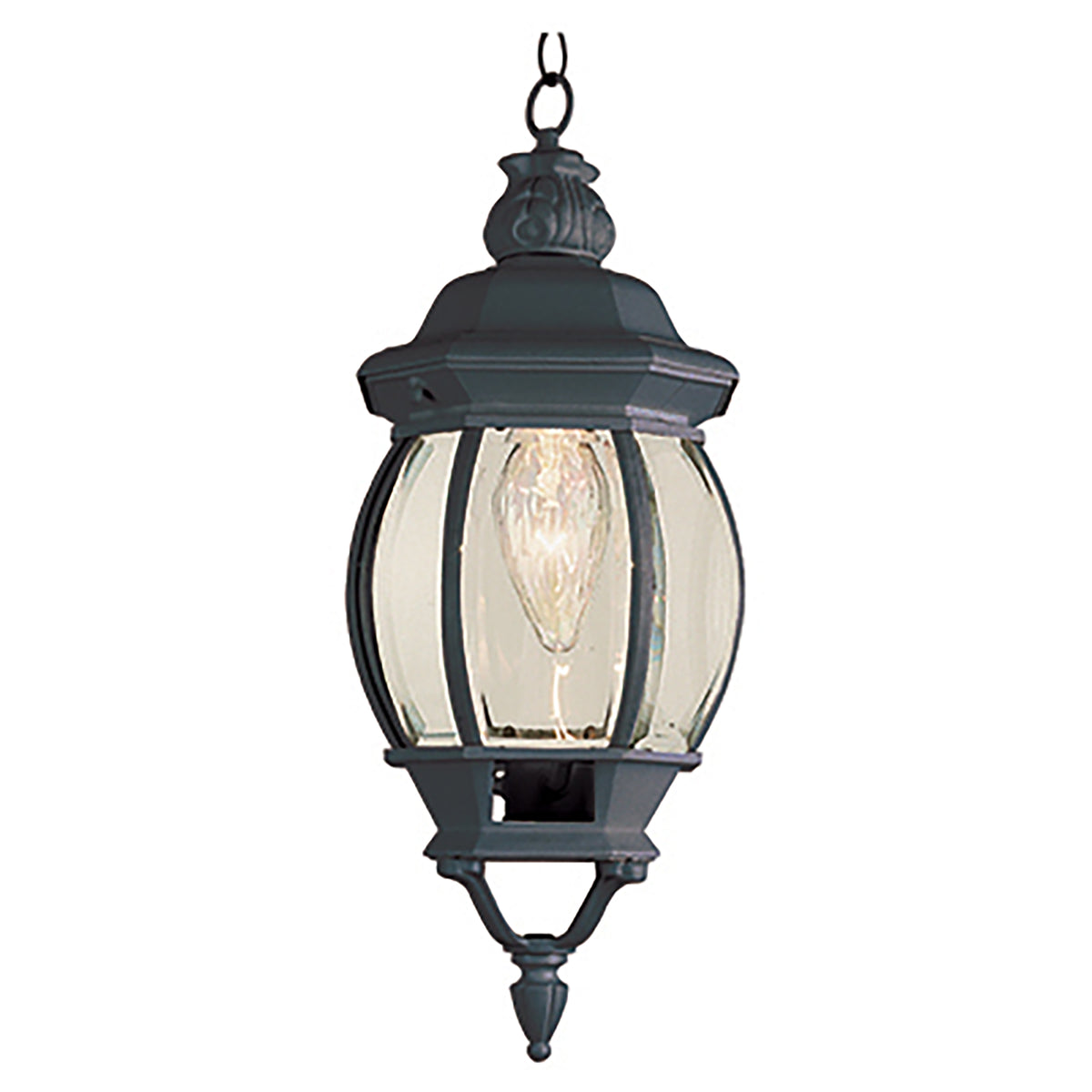 Trans Globe Lighting 4065 BK Parsons 1 light black outdoor hanging lantern