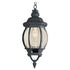 Trans Globe Lighting 4065 BK Parsons 1 light black outdoor hanging lantern