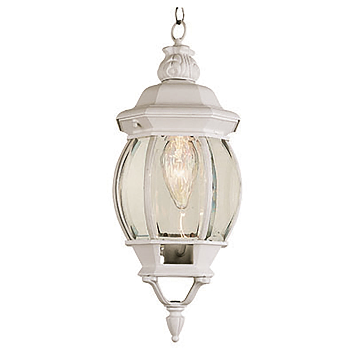 Trans Globe Lighting 4065 WH Parsons 1 Light White Outdoor Hanging Lantern Pendant Light