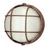 Trans Globe Lighting 41505 RT Aria rust bulkhead wall light