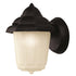 Trans Globe Lighting 4160 BK Dale 1 Light Black Outdoor Wall Lantern
