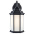 Trans Globe Lighting 4349 BK Cumberland black wall lantern front view