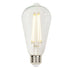 Westinghouse Lighting 4518200 ST20 clear filament LED light bulb