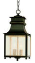 Trans Globe Lighting 45633 WB Santa Ines weathered bronze hanging lantern with clear seeded glass