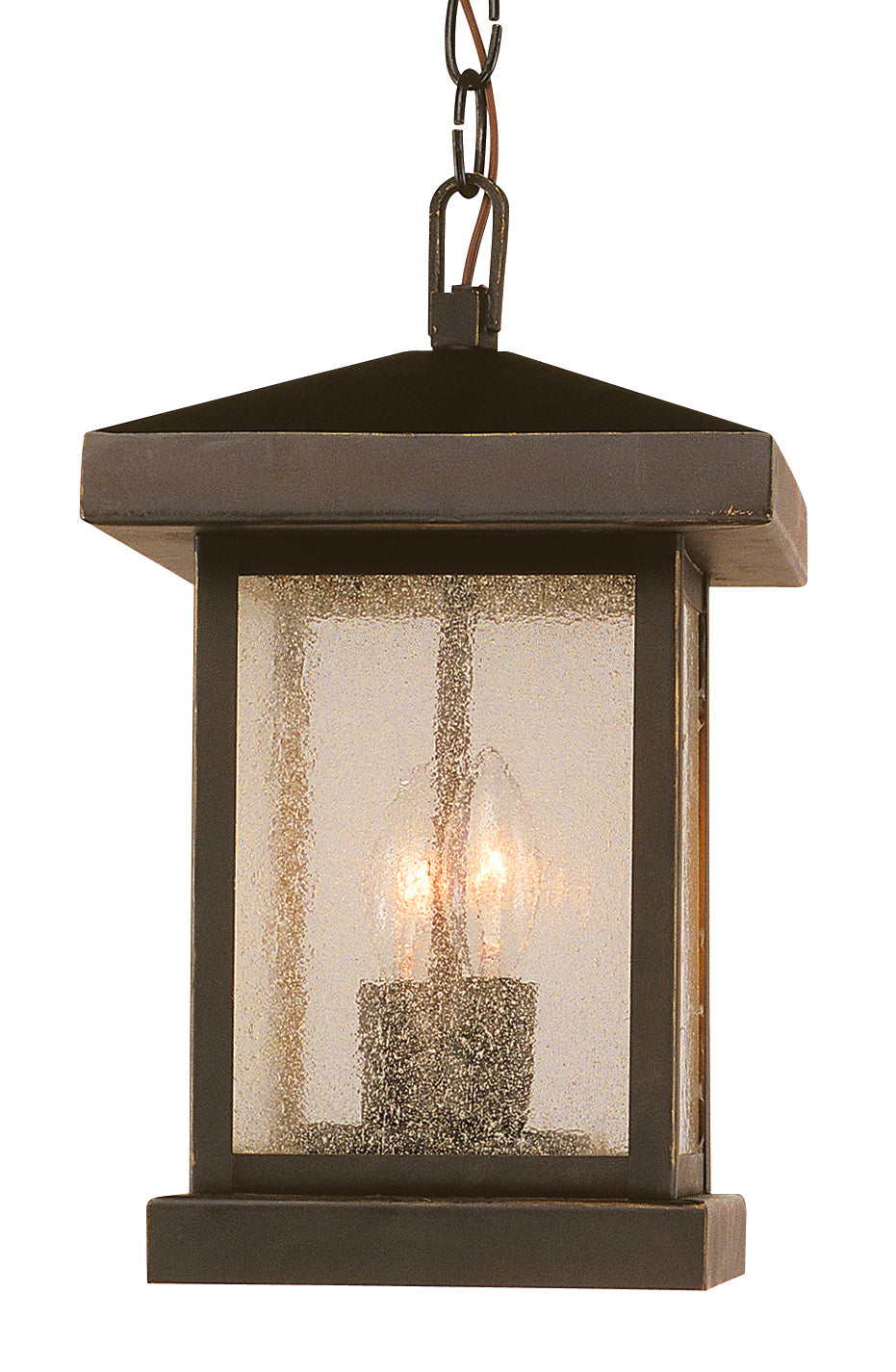 Trans Globe Lighting 45643 WB Santa Cruz 2 Light Weathered Bronze Hanging Lantern