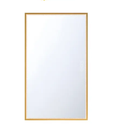 Eurofase Lighting 48097-024 Cerissa 54 X 32 inch Gold Wall Mirror