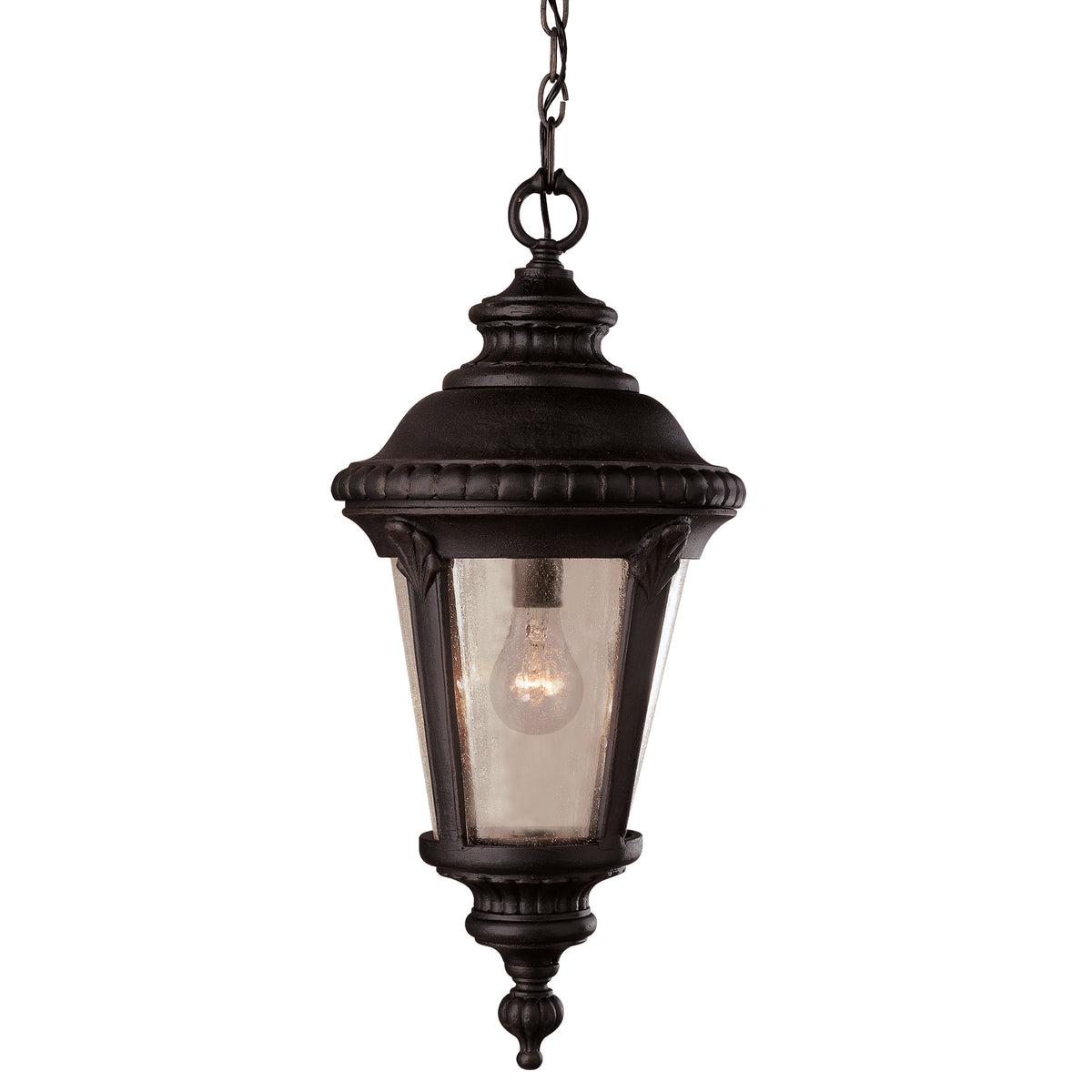 Trans Globe Lighting 5049 BK Commons black outdoor hanging lantern