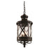 Trans Globe Lighting 5124 ROB Chandler 3 Light Rubbed Oil Bronze Outdoor Hanging Pendant