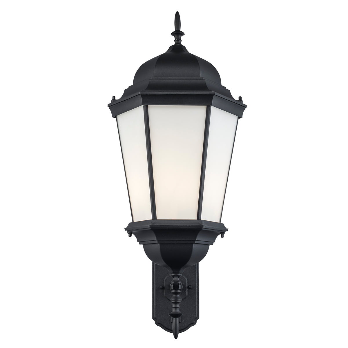Trans Globe Lighting 51621 BK Eldlight black outdoor wall lantern front view