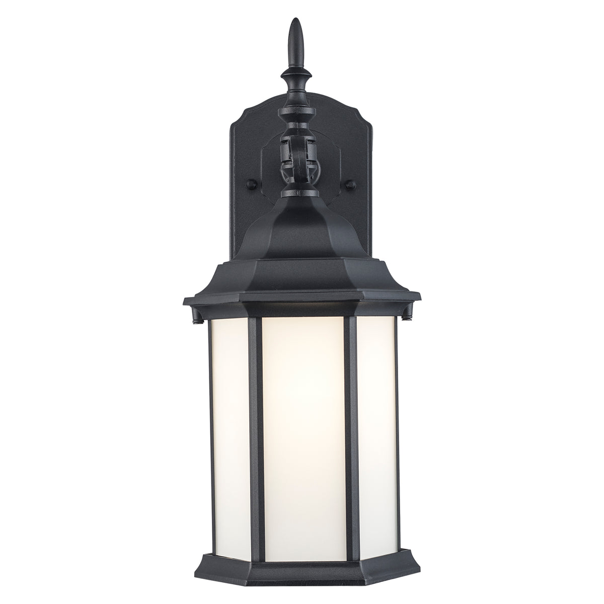 Trans Globe Lighting 51630 BK Eldlight black outdoor wall lantern illuminated