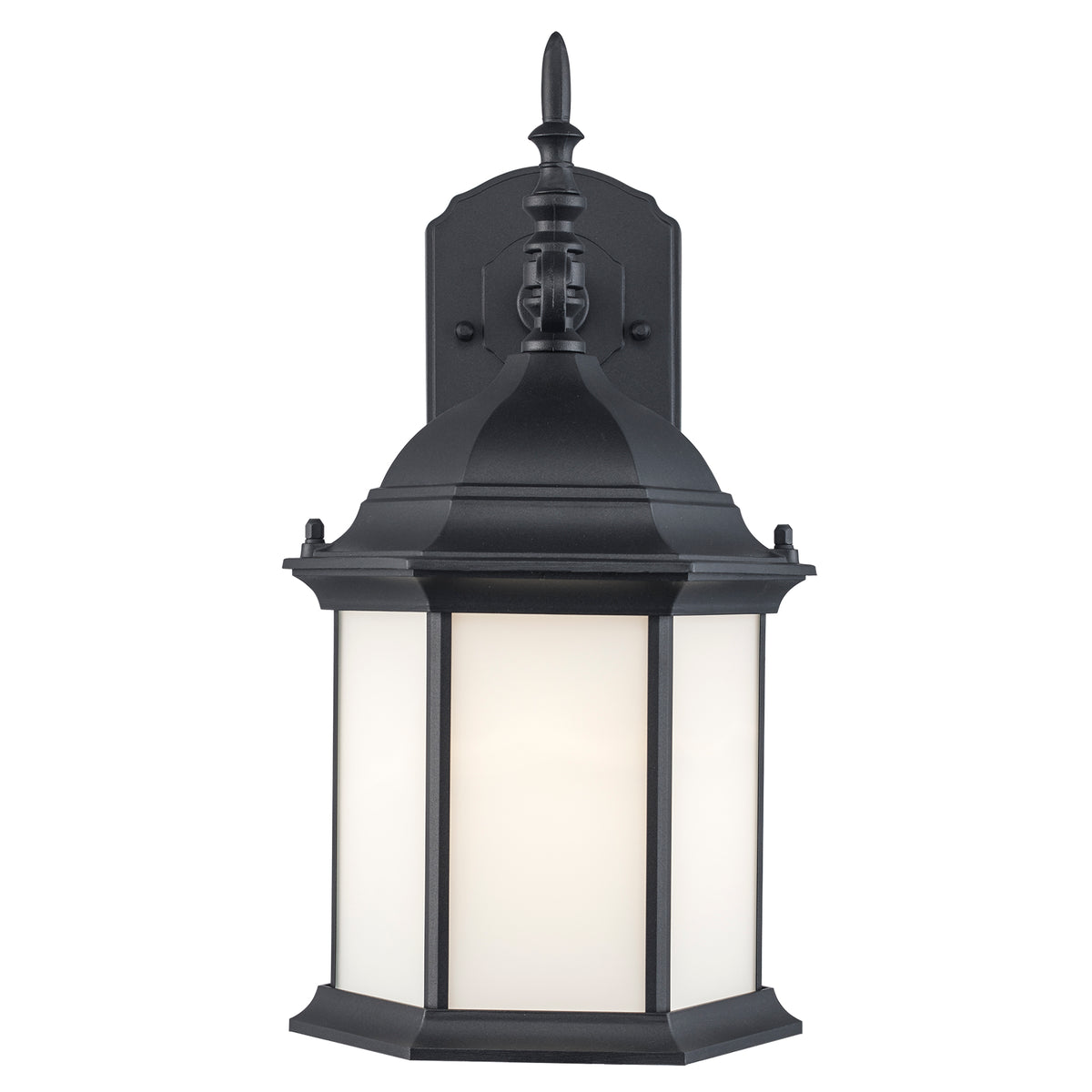 Trans Globe Lighting 51631 BK Eldlight black outdoor wall lantern