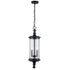 Trans Globe Lighting 51704 BK PathLume 2 Light Black Hanging Lantern full view