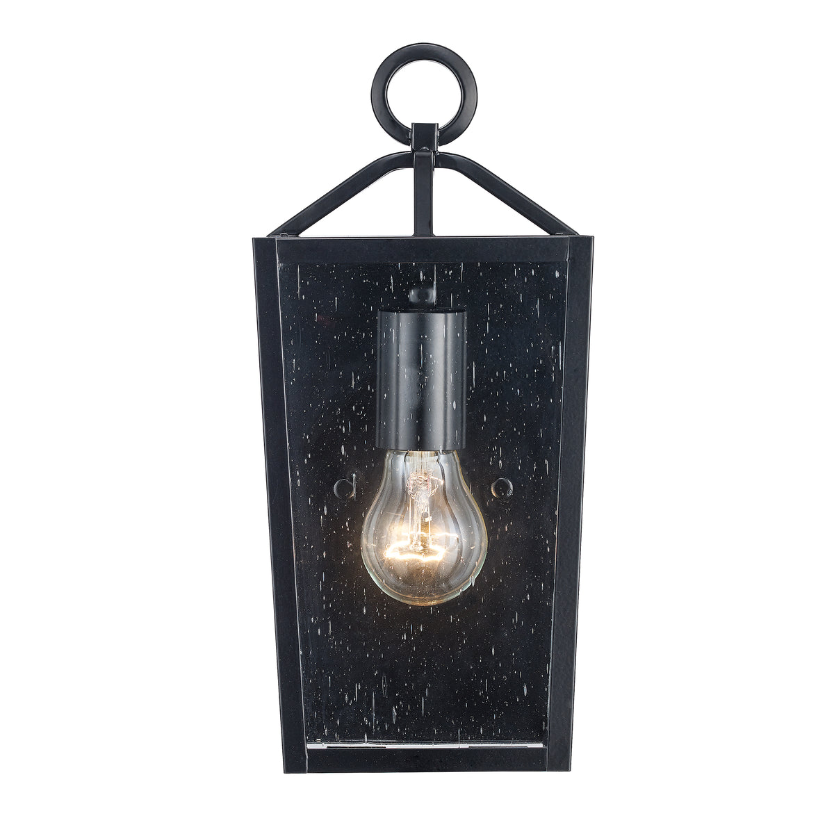Trans Globe Lighting 51760 BK Felicity black wall lantern front view