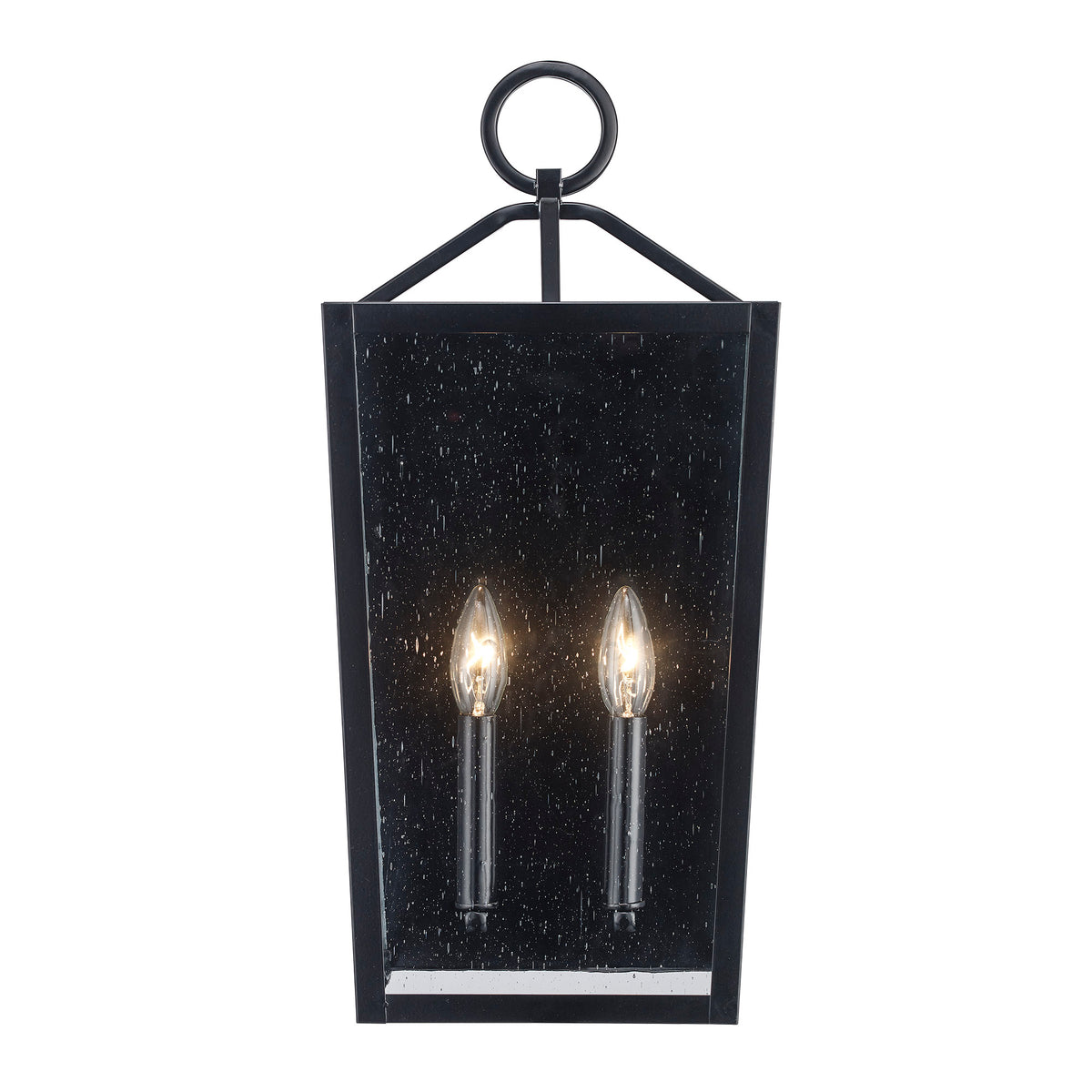 Trans Globe Lighting 51762 BK Felicity black outdoor wall lantern illuminated